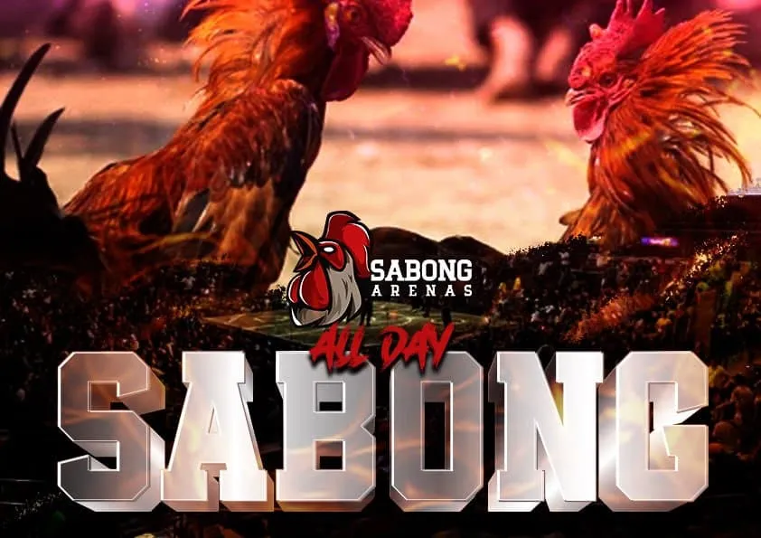 online sabong,sabong betting,sabong games,sabong casino,sabong network