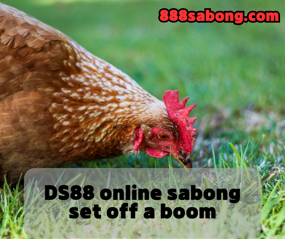 online sabong,DS88 sabong,sabong Philippines,sabong PH,DS88 cockfighting,online cockfighting