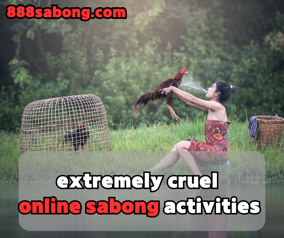 online sabong,sabong activities,sabong Philippines,sabong PH