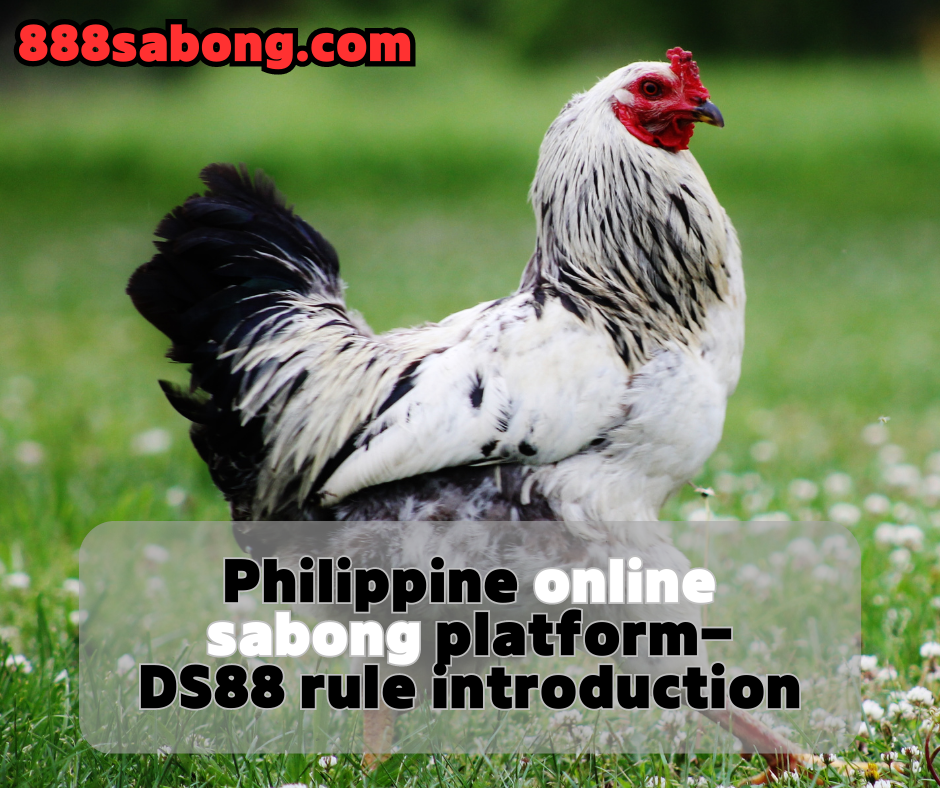 online sabong,DS88 sabong,sabong Philippines,sabong PH,sabong rules,sabong skills