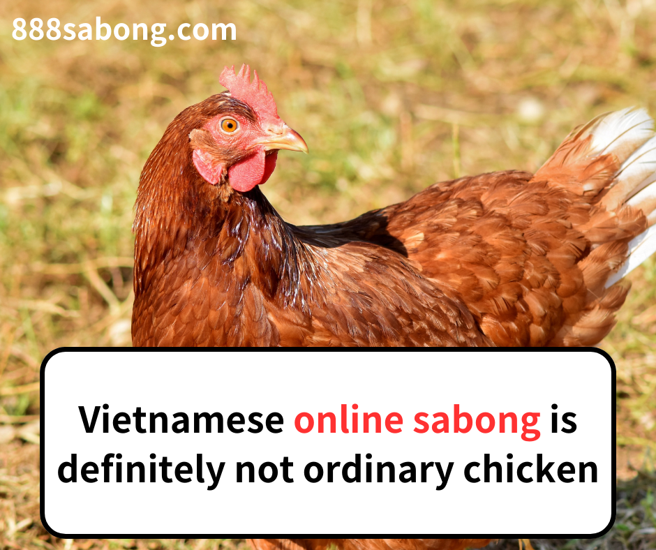 online sabong,sabong Vietnam